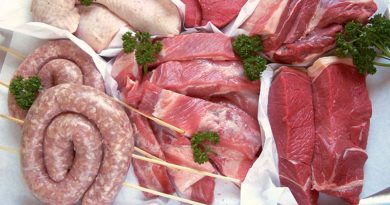 Argumenty na otázky, týkajúce sa mäsa