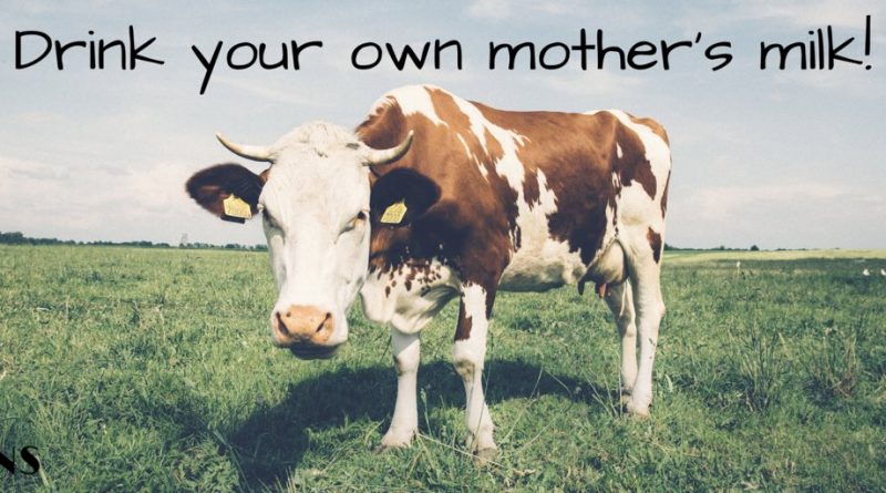 10 dôvodov prečo nepotrebujeme mliečne výrobky