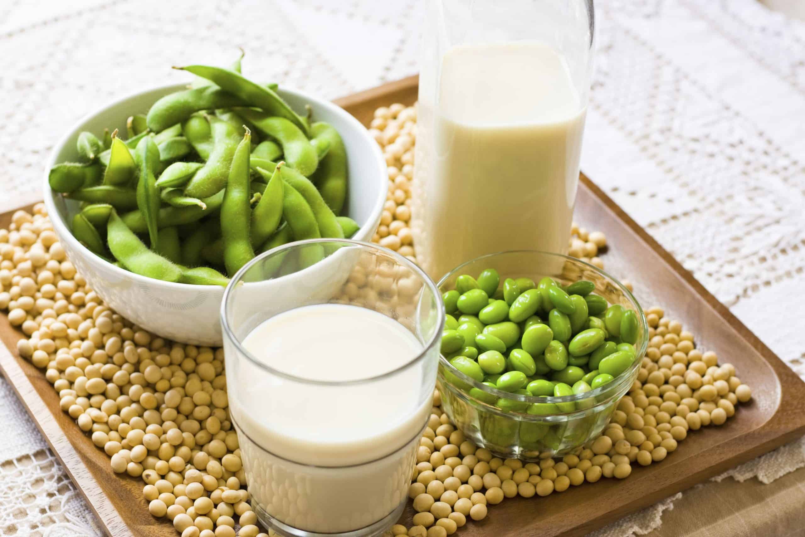 Содержащие сою. Соя. Соевые Бобы. Соевые Бобы продукты. Что такое соя продукт.