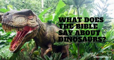 Dinosaury a Biblia