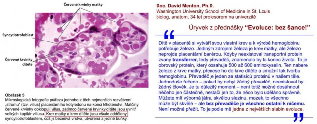 Pôvod života ako kybernetický proces