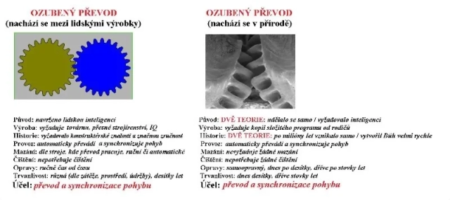 Príroda usvedčuje evolucionistov