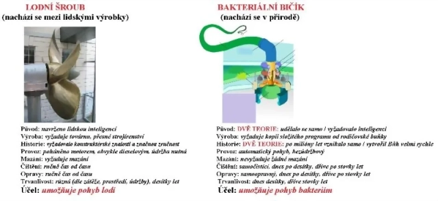 Príroda usvedčuje evolucionistov