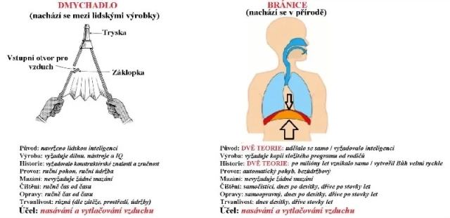 Príroda usvedčuje evolucionistov