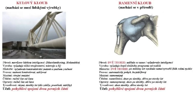 Príroda usvedčuje evolucionistov