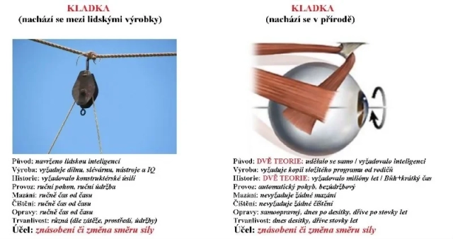 Príroda usvedčuje evolucionistov