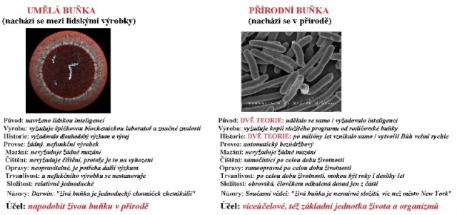 Príroda usvedčuje evolucionistov