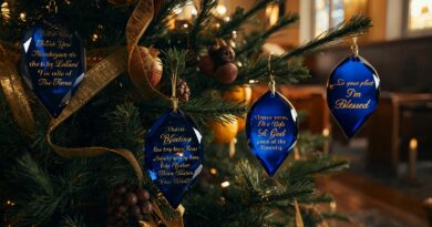 Vianoce použité na Božiu slávu znázornené vianočným stromčekom s ozdobami a duchovným posolstvom zdôrazňujúcim vďačnosť, službu Bohu a skutočný význam sviatkov